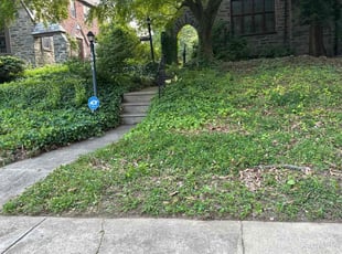 Weeding by Gisselle Massa for Harry T. in Philadelphia, PA