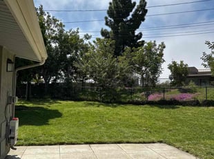Cleanups by Nicholas Poulsen for Corrine R. in San Diego, CA