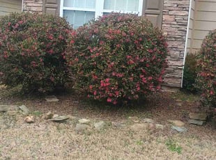 Weeding by Ronaldo Hinton for Timothy Z. in Birmingham, AL