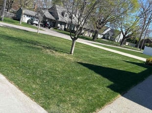 Gerilyn C.'s Lawn Service service result