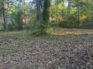 Cleanups by James Richards for Justin S. in Charleston, SC
