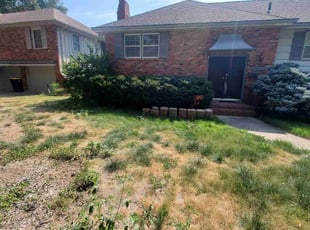 Bush Trimming by Datrick Williams for Denise S. in Kansas City, MO