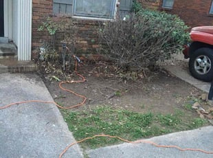 Cleanups by Henry Sample for Kevin F. in Memphis, TN