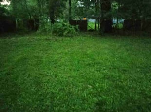 Weeding by Gerald Rowe for Chloe W. in Southfield, MI