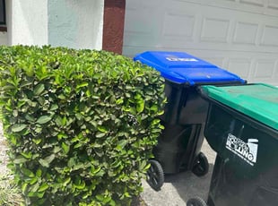 Bush Trimming by Michael Murphy for Dahlia M. in Orlando, FL