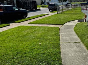 Jayrod Y.'s Lawn Care service result