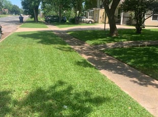 Janet G.'s Lawn Mowing service result