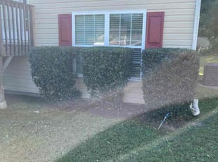 Bush Trimming by Clinton Hines for Bo D. in Atlanta, GA