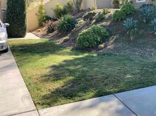 Jessica Y.'s Grass Cutting service result