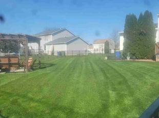 Raj M.'s Lawn Service service result