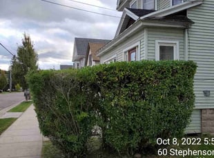 Bush Trimming by Ronald Burton for Lynne B. in West Seneca, NY