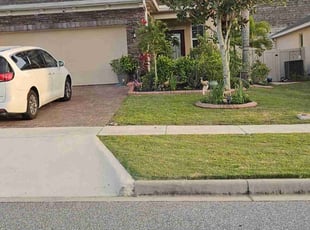 Tammy S.'s Lawn Maintenance service result