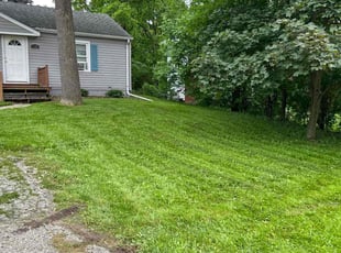 Mike C.'s Lawn Mowing service result