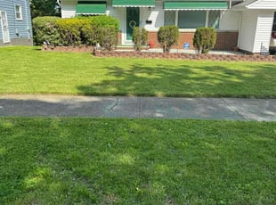Nick B.'s Lawn Mowing service result