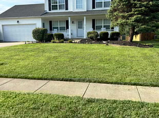 Joan R.'s Lawn Care service result