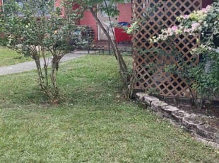 Bush Trimming by Wallace Trowell for Roberta E. in Bartow, FL