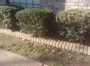 Bush Trimming by John Doyle for Pamela M. in Oklahoma City, OK