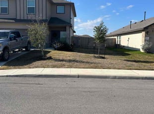 George S.'s Lawn Mowing service result