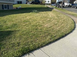 Yvonne C.'s Lawn Mowing Service service result