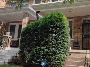 Justin C.'s Bush Trimming service result