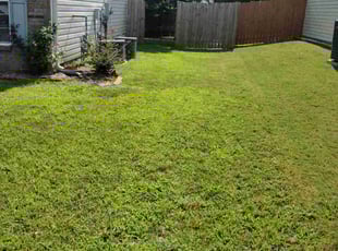 DAVID L.'s Yard Cutting service result