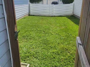 Dagmara C.'s Lawn Mowing Service service result