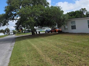 Bush Trimming by Steven Gatlin for DYLAN B. in Lakeland, FL