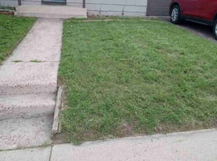 Rich M.'s Lawn Mowing service result