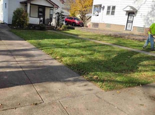 Leaf Removal by Anthony Coleman for Anna S. in Garfield Heights, OH