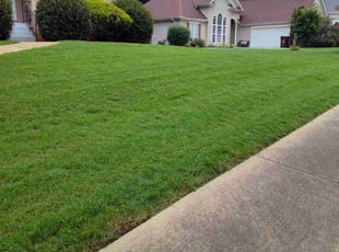 Doreen R.'s Lawn Mowing service result