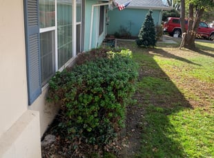 Bush Trimming by Jonathan Allen for Lawn S. in Sacramento, CA