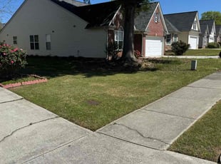 Nancy T.'s Lawn Care service result