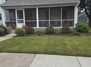 Janeane M.'s Bush Trimming service result