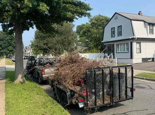 Pravin P.'s Cleanups service result