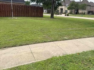 Bush Trimming by Jason Mince for Michelle H. in Little Elm, TX