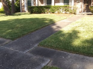 Chris T.'s Grass Cutting service result