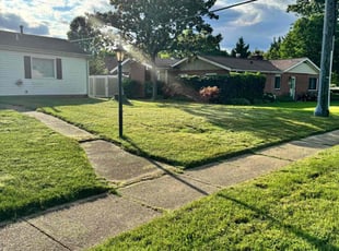 Hannah E.'s Yard Cutting service result