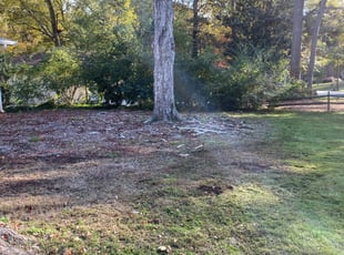 Cleanups by Delbert Rosa for Gayle P. in Tucker, GA