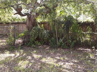 Bush Trimming by Chad Vicknair for Tasha A. in New Orleans, LA