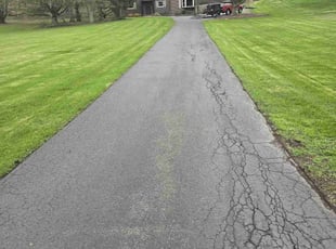 Polina C.'s Lawn Service service result