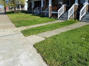 Ina B.'s Grass Cutting service result