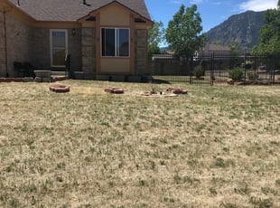 Cleanups by Jamill Pacheco for Virginia P. in Colorado Springs, CO