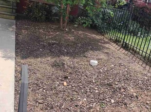 Weeding by Allan Roberts for Chrysanthi H. in Washington, DC