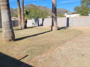 Cleanups by Nathan Read for Maria O. in Phoenix, AZ