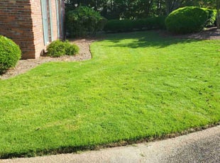 Kelvin A.'s Lawn Mowing Service service result