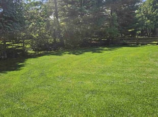 Darlene G.'s Yard Cutting service result