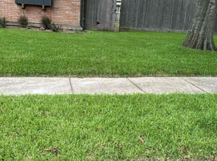 Nikkita R.'s Lawn Care service result