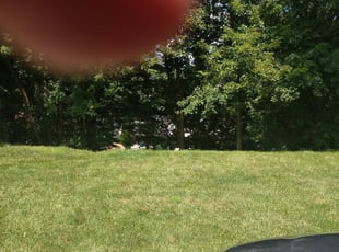 Cleanups by Athena Ford for Krista C. in Monroeville, PA