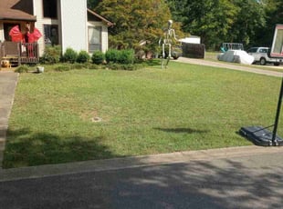 Erica F.'s Yard Cutting service result