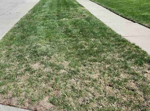 John N.'s Lawn Service service result
